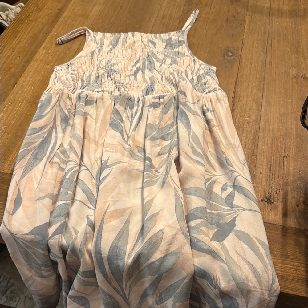 Z Supply Floral Print dress in Blue and Pink
